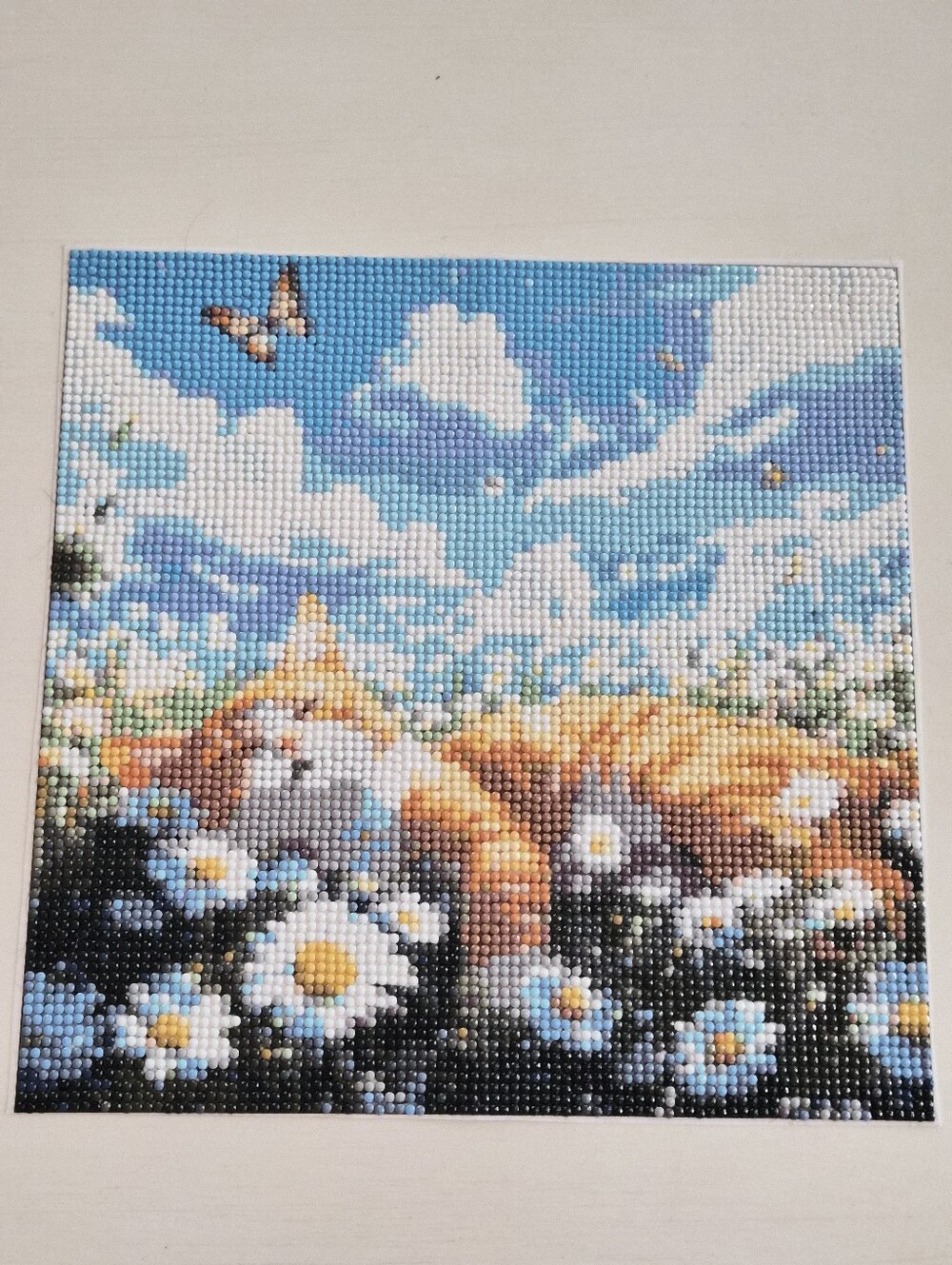 3/$15 Diamond Art Completed Painting Cat Laying In Daisies
